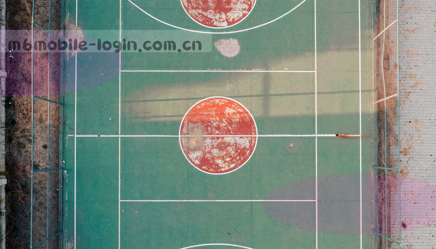 七大区域网点与型号档案变化分布图